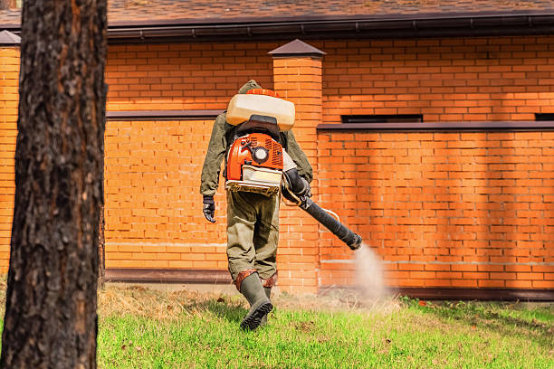 Top rated local Wasp Removal specialists in McElhattan, PA